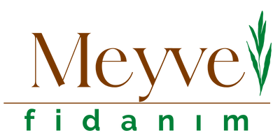 Üzümsü ve Tropikal Meyve Fidanları